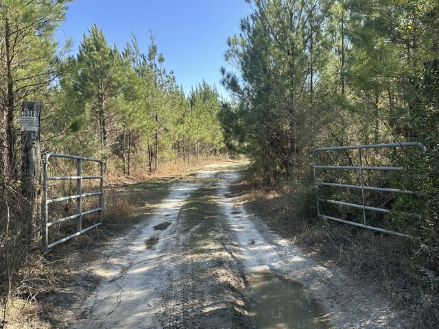 TRACT6317 Harris Stevenson Rd, Bonifay FL, 32425 land for sale