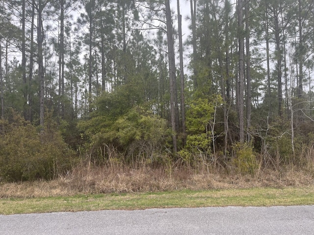 Listing photo 3 for LOT3 Sun Bear Cir, Freeport FL 32439