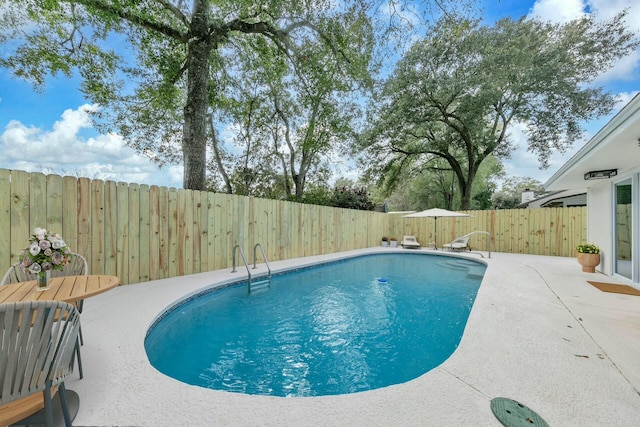 view of pool featuring a fenced backyard, a fenced in pool, and a patio