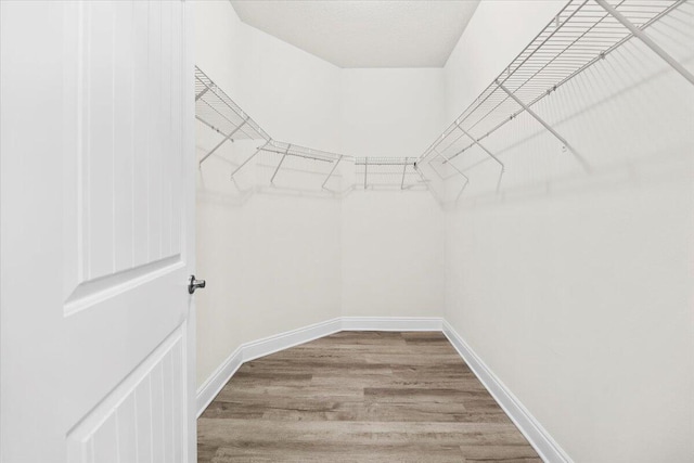 walk in closet featuring wood finished floors