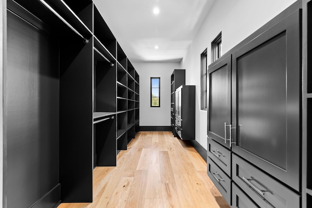 spacious closet with light wood-type flooring