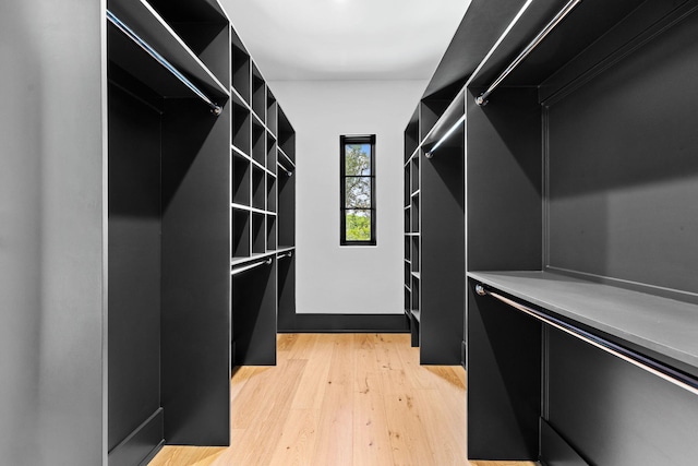 spacious closet featuring light wood-style flooring