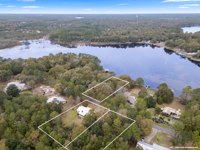 bird's eye view featuring a water view and a view of trees