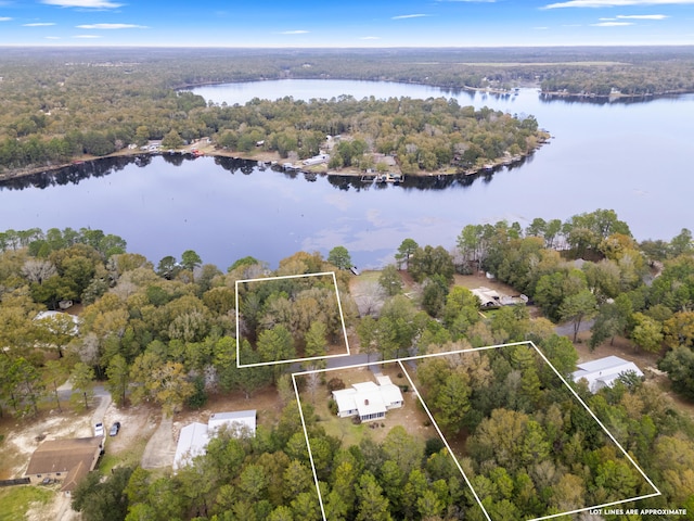 drone / aerial view with a water view and a forest view