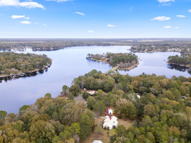 bird's eye view featuring a water view and a view of trees