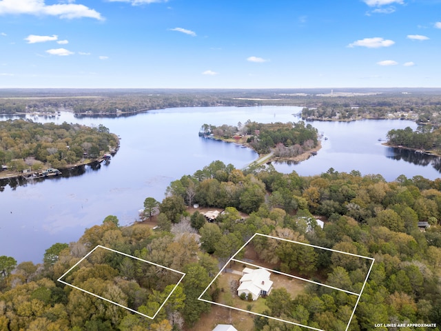 aerial view with a water view and a wooded view