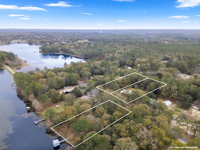 bird's eye view with a water view and a view of trees