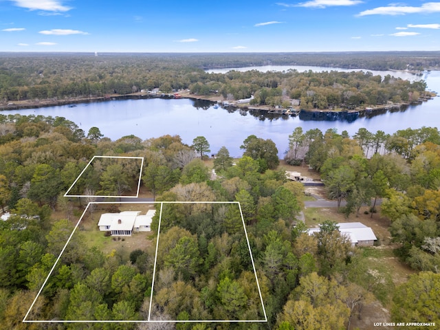 bird's eye view featuring a water view and a view of trees