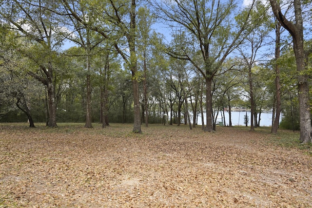 view of landscape with a water view