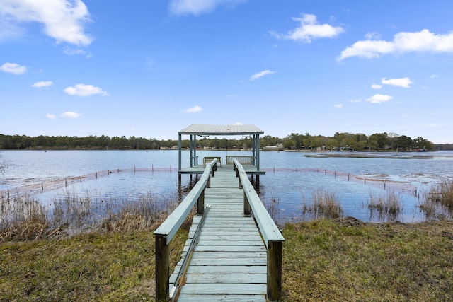 dock area with a water view