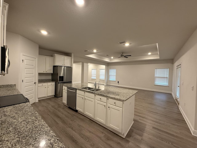 kitchen featuring a sink, a raised ceiling, dark wood finished floors, and stainless steel appliances