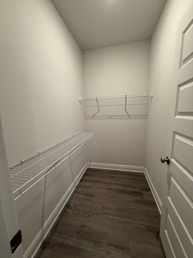 spacious closet featuring dark wood-type flooring