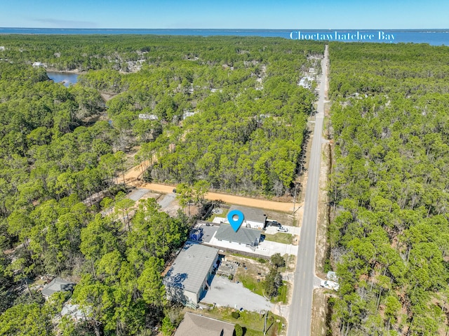 drone / aerial view featuring a water view and a view of trees