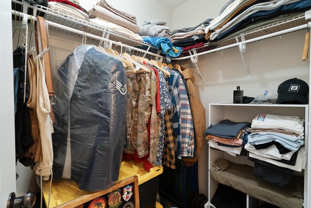 view of spacious closet