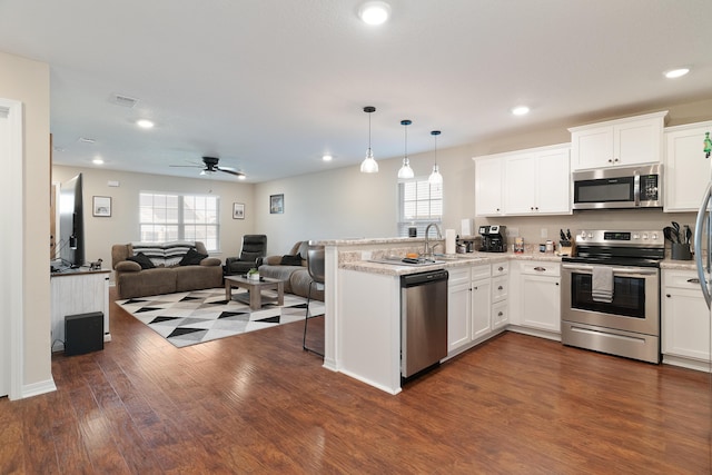 kitchen with a peninsula, open floor plan, a wealth of natural light, and stainless steel appliances