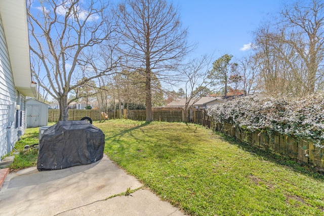 view of yard with an outbuilding, a storage unit, a patio area, and a fenced backyard