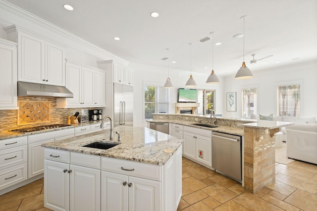 kitchen with under cabinet range hood, a sink, open floor plan, appliances with stainless steel finishes, and a large island