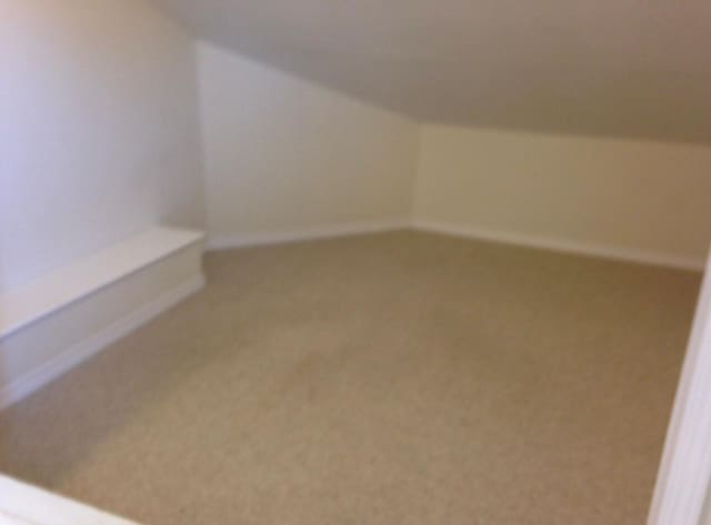 bonus room featuring vaulted ceiling, carpet, and baseboards