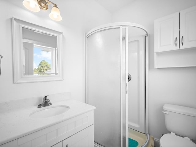 full bath featuring vanity, a shower stall, and toilet