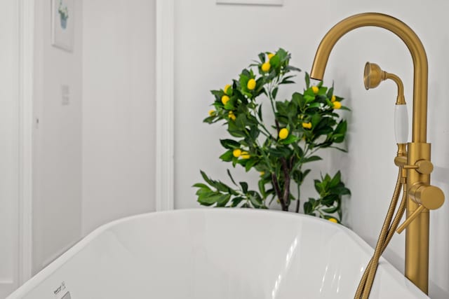 details featuring a freestanding bath