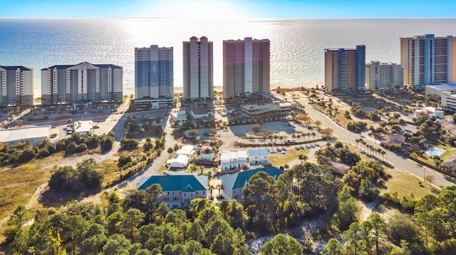 birds eye view of property featuring a water view and a city view