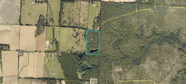 16.53AC Peaden Bridge Rd, Baker FL, 32531 land for sale