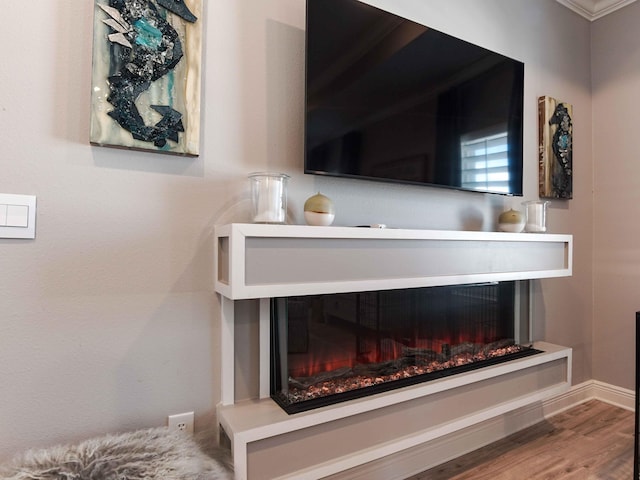 details featuring a glass covered fireplace, baseboards, and wood finished floors