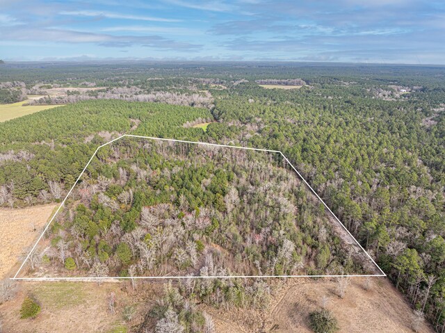 X Thames Rd, Baker, FL 32531