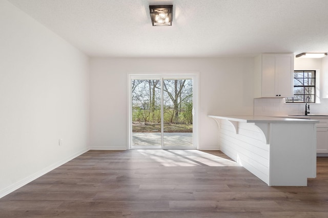 interior space featuring a breakfast bar area, wood finished floors, a sink, white cabinets, and decorative backsplash