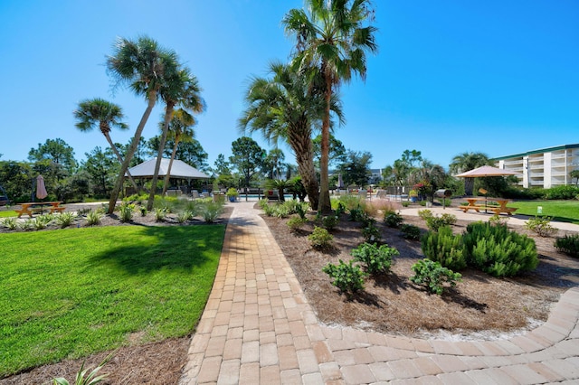 view of community featuring a yard