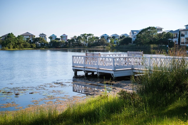 dock area with a water view