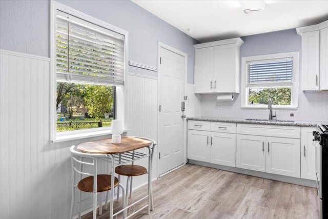 kitchen with light stone countertops, light wood-style flooring, a sink, wainscoting, and white cabinetry