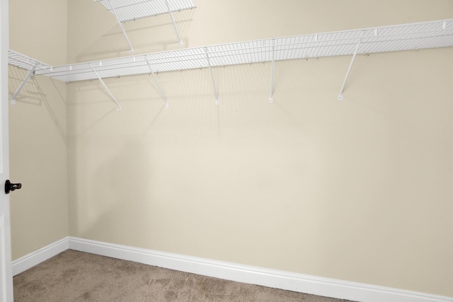 spacious closet featuring light colored carpet