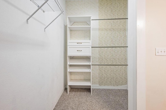 132 Lonnie Jack Dr, Crestview, FL 32536 - spacious closet featuring carpet floors