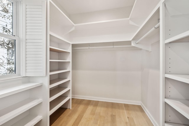 254 E Yacht Pond Ln, Watersound, FL 32461 - spacious closet with light wood-type flooring