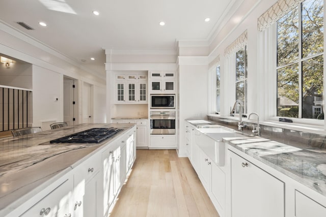254 E Yacht Pond Ln, Watersound, FL 32461 - kitchen with light stone countertops, a sink, crown molding, and appliances with stainless steel finishes
