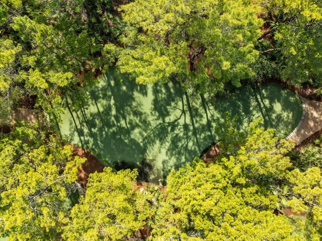 254 E Yacht Pond Ln, Watersound, FL 32461 - bird's eye view with a wooded view