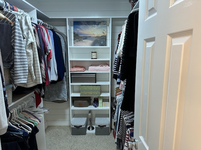 view of spacious closet