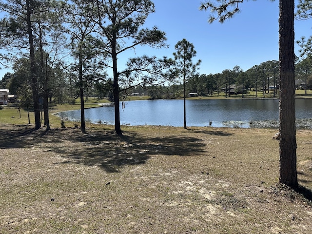 view of water feature