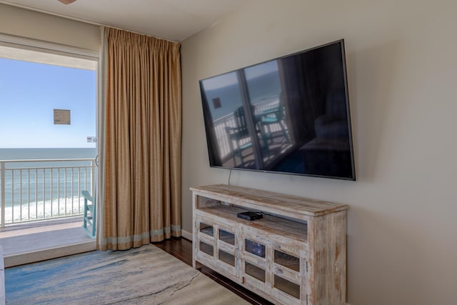 details with baseboards and wood finished floors