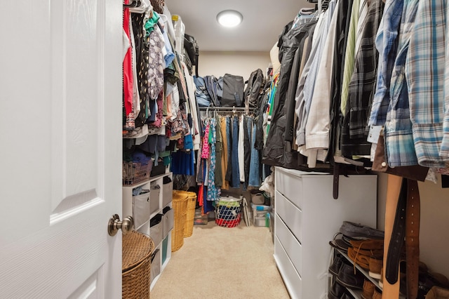 spacious closet featuring carpet floors