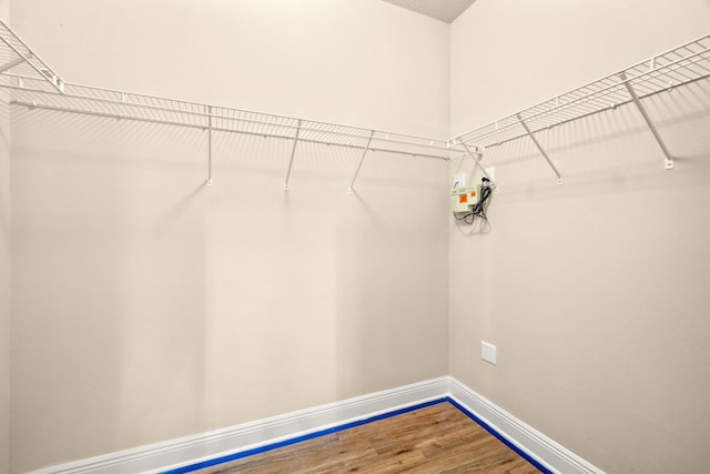 walk in closet featuring wood finished floors