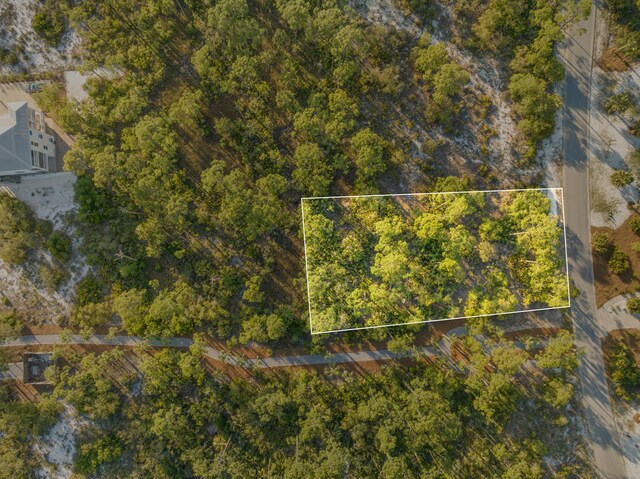 207 Signal Ln, Port St Joe, FL 32456 - photo 3