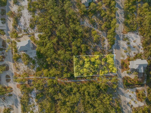 207 Signal Ln, Port St Joe, FL 32456 - photo 4