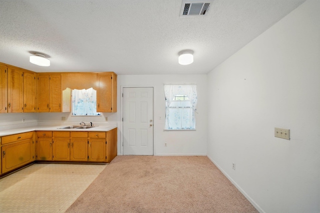 kitchen featuring baseboards, visible vents, a sink, light countertops, and a textured ceiling