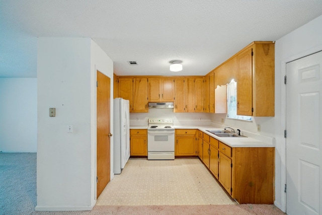 kitchen with visible vents, a sink, under cabinet range hood, white appliances, and light countertops