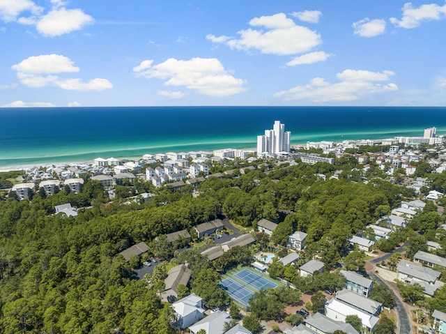 100 N Myrtle Dr Unit 116, Santa Rosa Beach, FL 32459 - photo 30