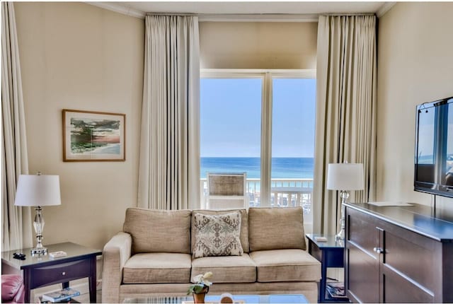 living area featuring crown molding