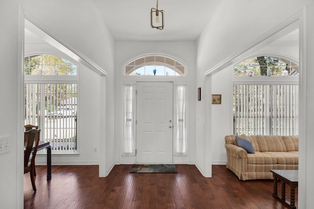 foyer featuring dark wood-type flooring, baseboards, and a wealth of natural light