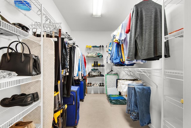 view of spacious closet